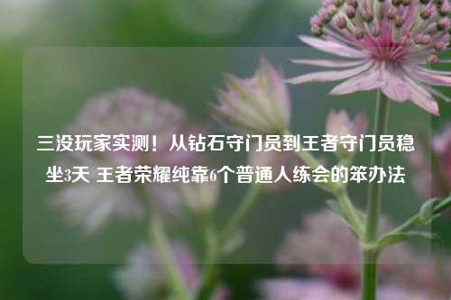 三没玩家实测!从钻石守门员到王者守门员稳坐3天 王者荣耀纯靠6个普通人练会的笨办法