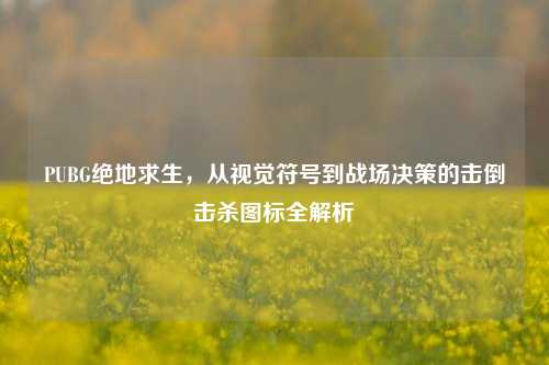 PUBG绝地求生，从视觉符号到战场决策的击倒击杀图标全解析