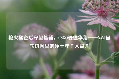 枪火褪色后守望基辅，CSGO爱德华猪——NaVi最软拼图里的硬十年个人简介