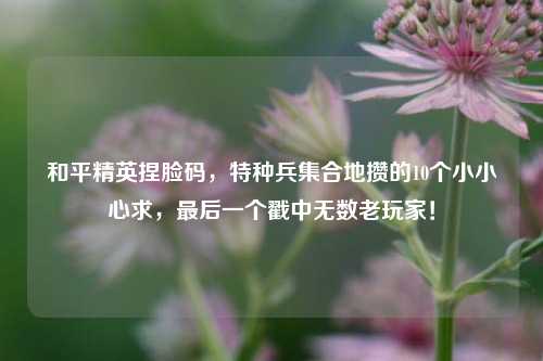 和平精英捏脸码,特种兵集合地攒的10个小小心求,最后一个戳中无数老玩家!