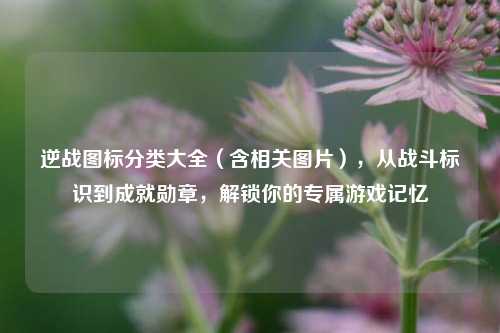 逆战图标分类大全(含相关图片),从战斗标识到成就勋章,解锁你的专属游戏记忆