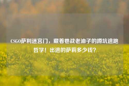 CSGO萨利迷宫门，藏着巷战老油子的蹲坑逃跑哲学！出逃的萨莉多少钱？