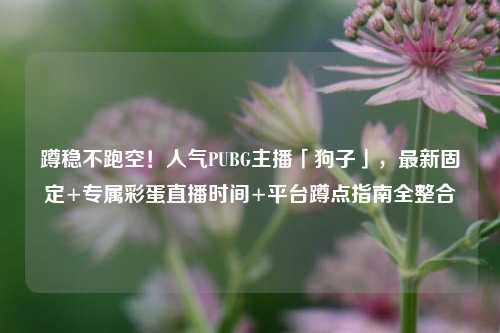 蹲稳不跑空！人气PUBG主播「狗子」，最新固定+专属彩蛋直播时间+平台蹲点指南全整合