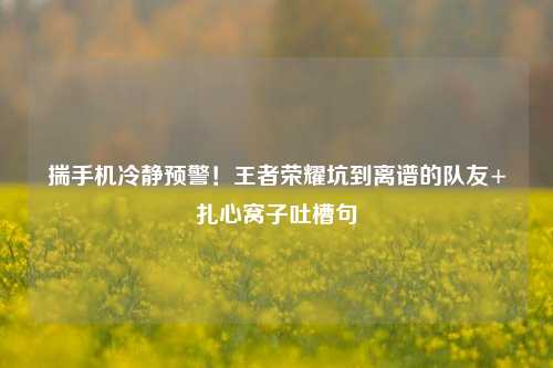 揣手机冷静预警!王者荣耀坑到离谱的队友+扎心窝子吐槽句