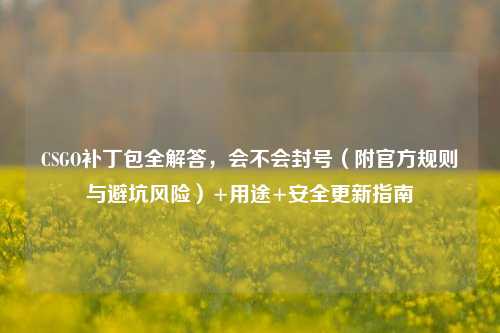 CSGO补丁包全解答,会不会封号(附官方规则与避坑风险)+用途+安全更新指南