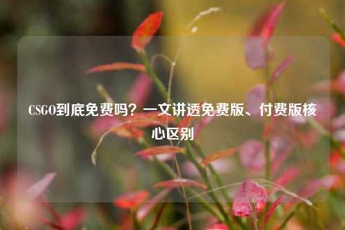 CSGO到底免费吗?一文讲透免费版、付费版核心区别