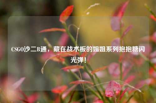 CSGO沙二B通,藏在战术板的姐姐系列抱抱糖闪光弹!
