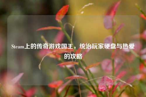 Steam上的传奇游戏国王,统治玩家硬盘与热爱的攻略