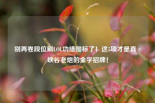 别再卷段位刷LOL功绩图标了!这5项才是真·峡谷老炮的金字招牌!