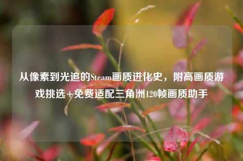 从像素到光追的Steam画质进化史,附高画质游戏挑选+免费适配三角洲120帧画质助手