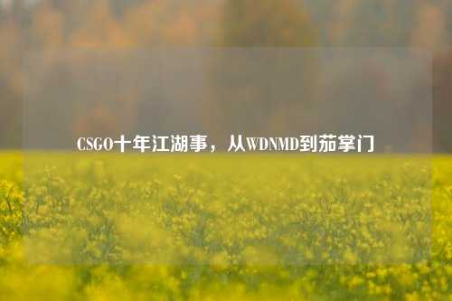 CSGO十年江湖事，从WDNMD到茄掌门