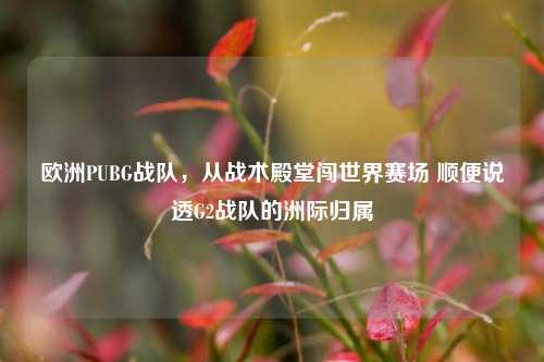 欧洲PUBG战队,从战术殿堂闯世界赛场 顺便说透G2战队的洲际归属