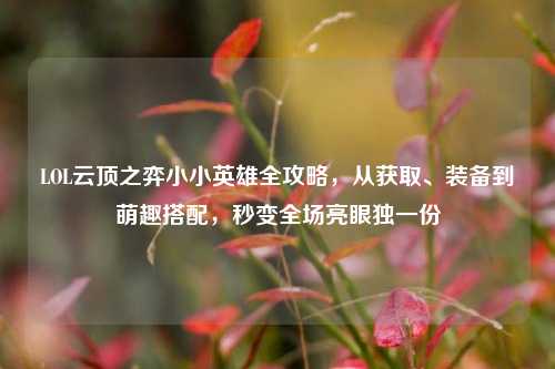 LOL云顶之弈小小英雄全攻略,从获取、装备到萌趣搭配,秒变全场亮眼独一份