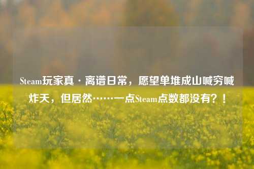 Steam玩家真·离谱日常,愿望单堆成山喊穷喊炸天,但居然……一点Steam点数都没有?!
