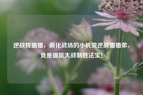 逆战找猫猫,萌化战场的小机灵逆战猫猫弟,竟是猫鼠大战制胜法宝!