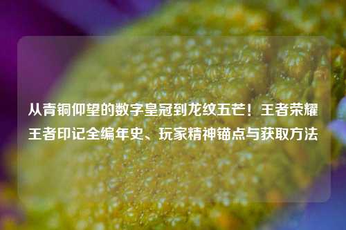 从青铜仰望的数字皇冠到龙纹五芒！王者荣耀王者印记全编年史、玩家精神锚点与获取方法
