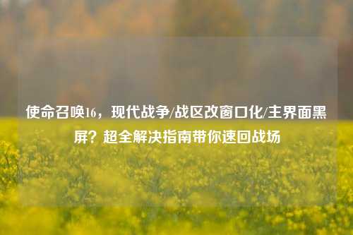 使命召唤16,现代战争/战区改窗口化/主界面黑屏?超全解决指南带你速回战场