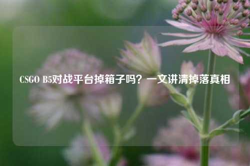 CSGO B5对战平台掉箱子吗？一文讲清掉落真相