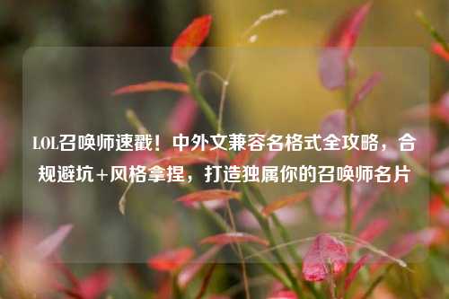 LOL召唤师速戳!中外文兼容名格式全攻略,合规避坑+风格拿捏,打造独属你的召唤师名片
