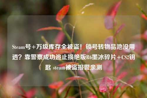 Steam号+万级库存全被盗!锁号转物品池没用透?靠警察成功追止损绝版R6墨冰碎片+CS2钥匙 steam被盗报警亲测