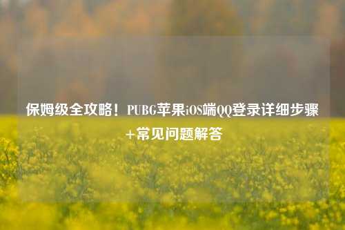 保姆级全攻略!PUBG苹果iOS端QQ登录详细步骤+常见问题解答