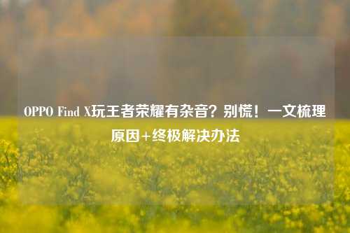 OPPO Find X玩王者荣耀有杂音?别慌!一文梳理原因+终极解决办法