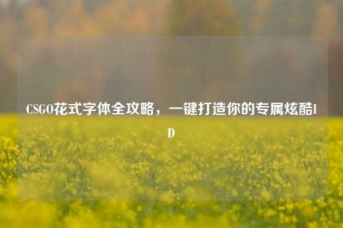 CSGO花式字体全攻略，一键打造你的专属炫酷ID
