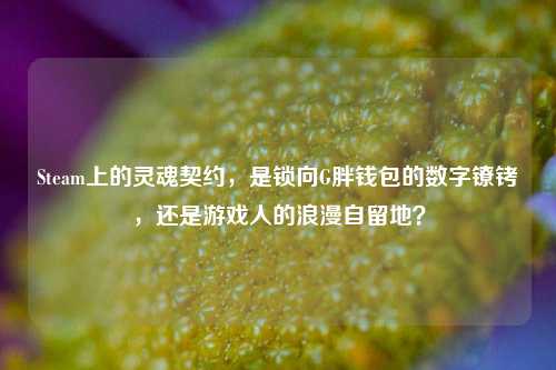 Steam上的灵魂契约,是锁向G胖钱包的数字镣铐,还是游戏人的浪漫自留地?