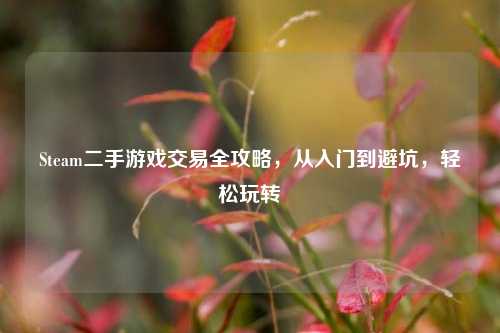 Steam二手游戏交易全攻略,从入门到避坑,轻松玩转