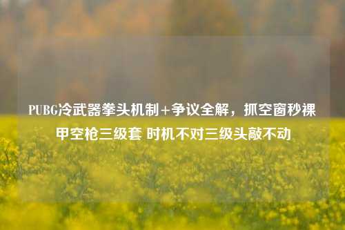 PUBG冷武器拳头机制+争议全解,抓空窗秒裸甲空枪三级套 时机不对三级头敲不动