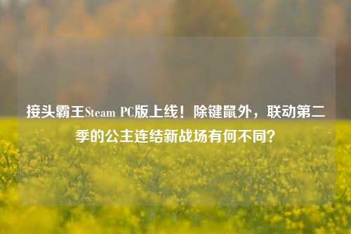 接头霸王Steam PC版上线！除键鼠外，联动第二季的公主连结新战场有何不同？