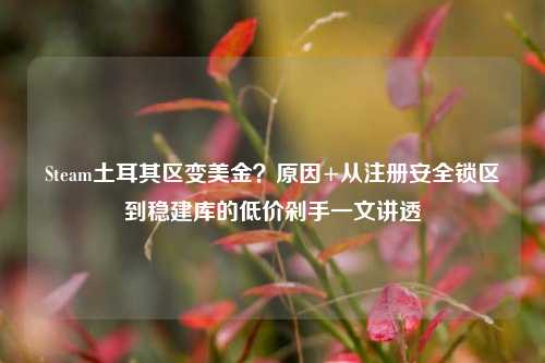 Steam土耳其区变美金?原因+从注册安全锁区到稳建库的低价剁手一文讲透