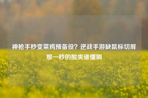 神枪手秒变菜鸡预备役?逆战手游缺鼠标切屏那一秒的酸爽谁懂啊