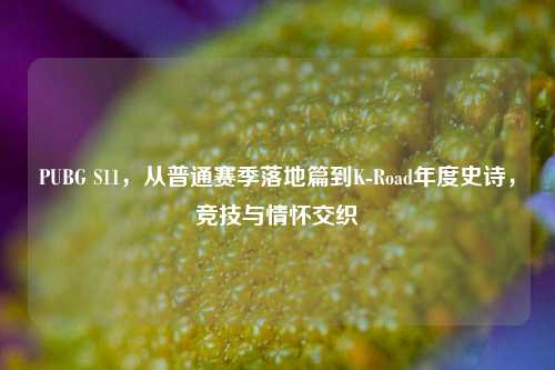 PUBG S11,从普通赛季落地篇到K-Road年度史诗,竞技与情怀交织