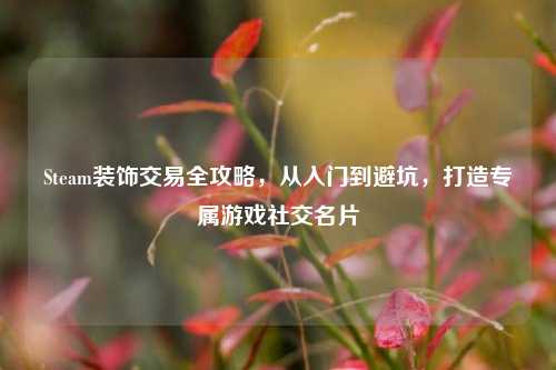 Steam装饰交易全攻略,从入门到避坑,打造专属游戏社交名片