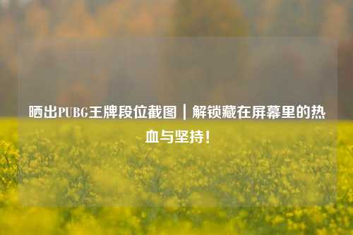 晒出PUBG王牌段位截图|解锁藏在屏幕里的热血与坚持!