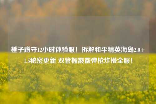 橙子蹲守12小时体验服!拆解和平精英海岛2.0+1.5秘密更新 双管榴霰霰弹枪炸懵全服!