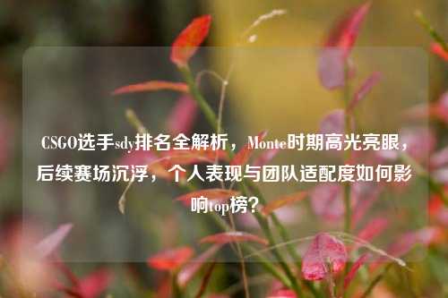 CSGO选手sdy排名全解析，Monte时期高光亮眼，后续赛场沉浮，个人表现与团队适配度如何影响top榜？