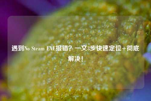 遇到No Steam EXE报错?一文3步快速定位+彻底解决!