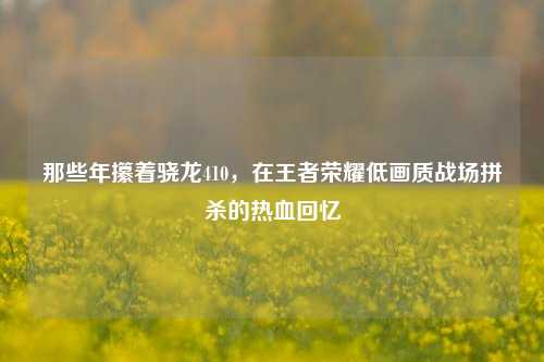 那些年攥着骁龙410,在王者荣耀低画质战场拼杀的热血回忆