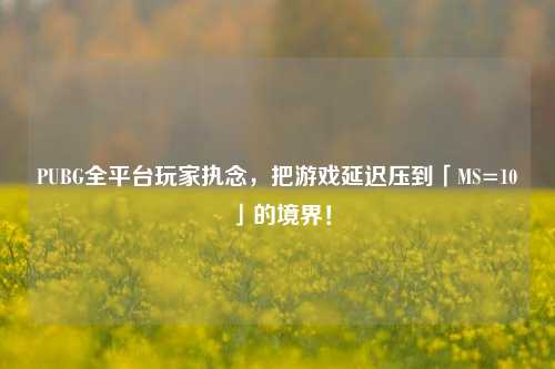 PUBG全平台玩家执念,把游戏延迟压到「MS=10」的境界!