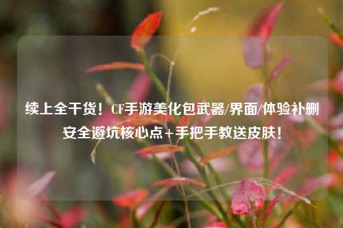 续上全干货!CF手游美化包武器/界面/体验补删安全避坑核心点+手把手教送皮肤!