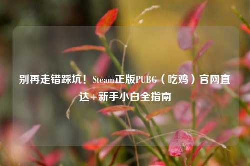 别再走错踩坑！Steam正版PUBG（吃鸡）官网直达+新手小白全指南