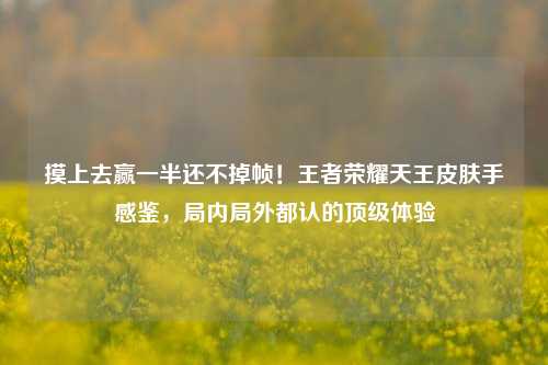 摸上去赢一半还不掉帧!王者荣耀天王皮肤手感鉴,局内局外都认的顶级体验