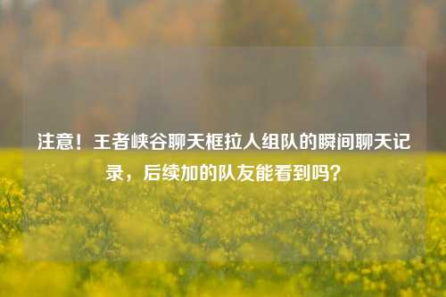注意!王者峡谷聊天框拉人组队的瞬间聊天记录,后续加的队友能看到吗?