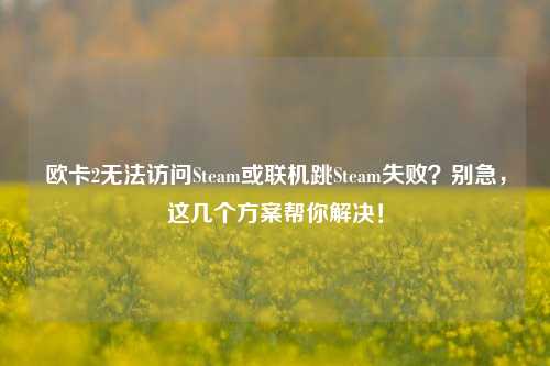 欧卡2无法访问Steam或联机跳Steam失败?别急,这几个方案帮你解决!