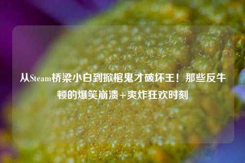 从Steam桥梁小白到掀棺鬼才破坏王！那些反牛顿的爆笑崩溃+爽炸狂欢时刻