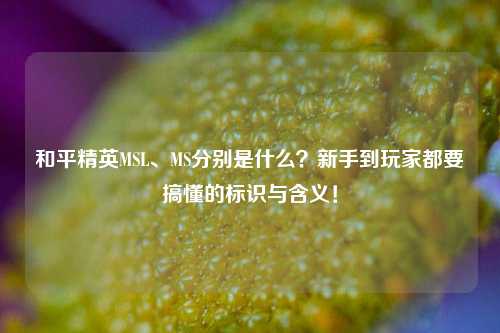 和平精英MSL、MS分别是什么?新手到玩家都要搞懂的标识与含义!