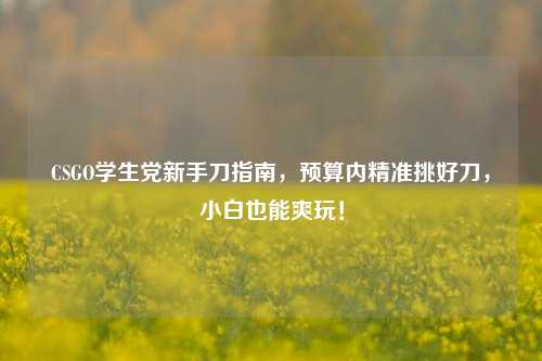 CSGO学生党新手刀指南，预算内精准挑好刀，小白也能爽玩！