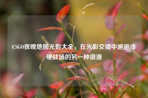 CSGO夜晚地图光影大全,在光影交错中邂逅冷硬战场的另一种浪漫